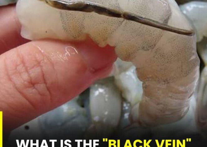 What is actually the shrimp’s vein