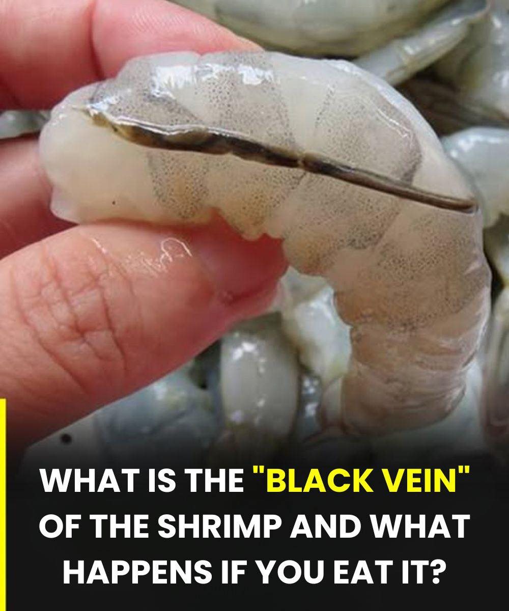 What is actually the shrimp’s vein