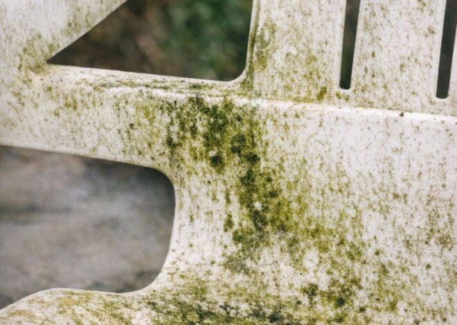 My father-in-law taught me this trick to remove green mildew from patio chairs with 0 effort. Here’s how it works.