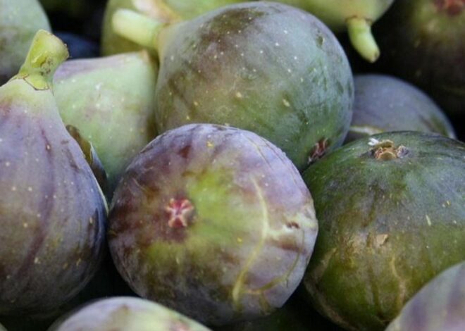 Doctors reveal that eating figs causes