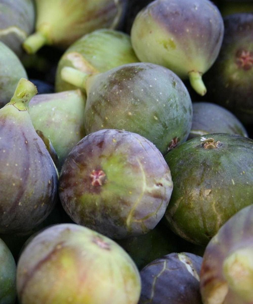 Doctors reveal that eating figs causes