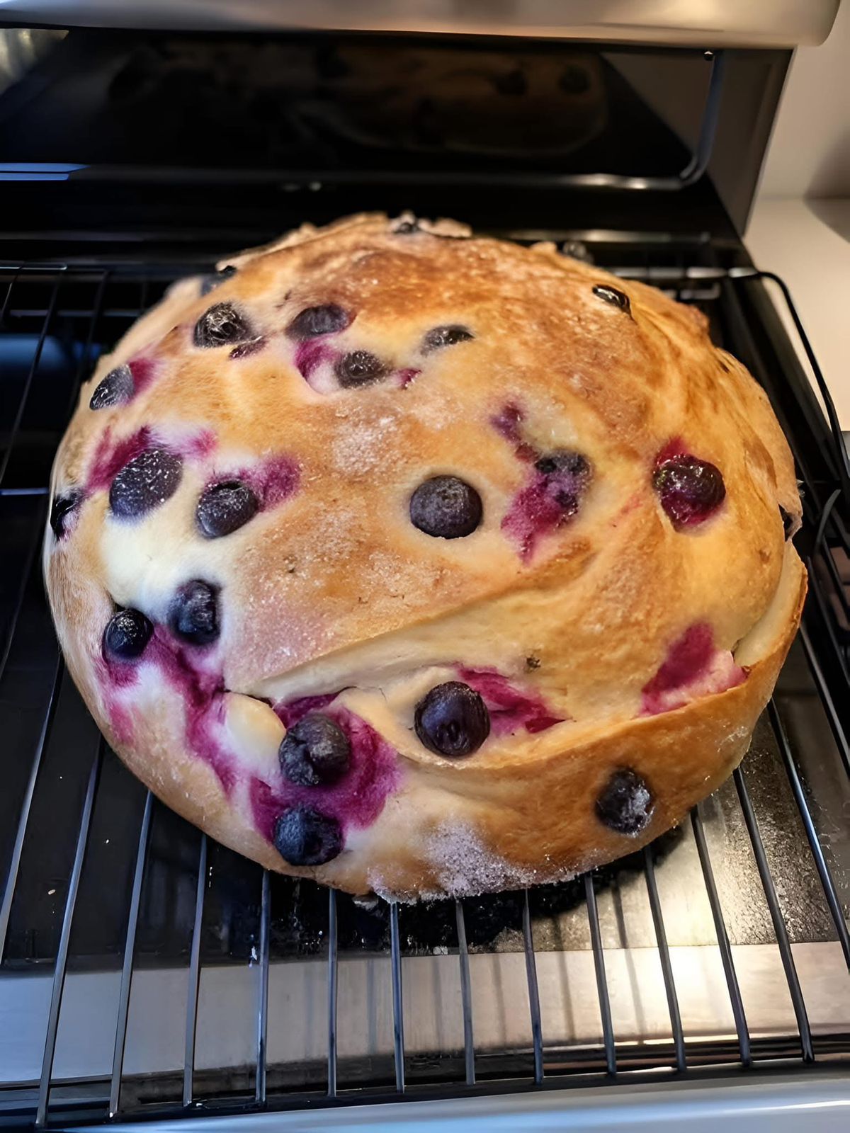 blueberry cream cheese loaf